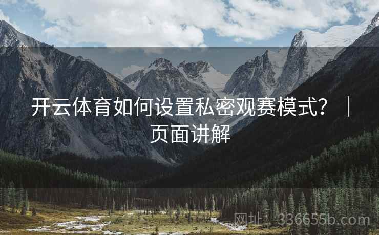 开云体育如何设置私密观赛模式?|页面讲解