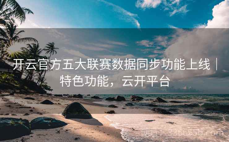 开云官方五大联赛数据同步功能上线|特色功能,云开平台