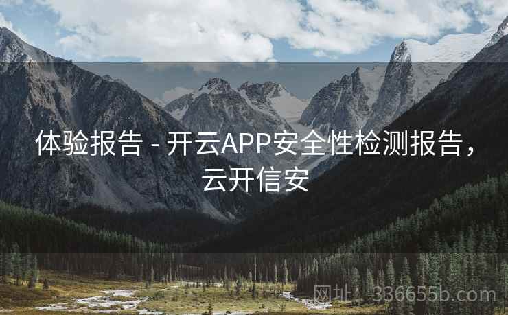 体验报告 - 开云APP安全性检测报告,云开信安