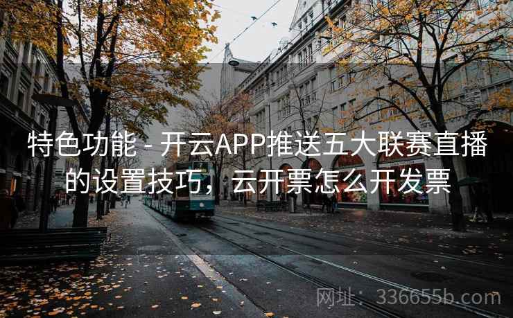 特色功能 - 开云APP推送五大联赛直播的设置技巧,云开票怎么开发票