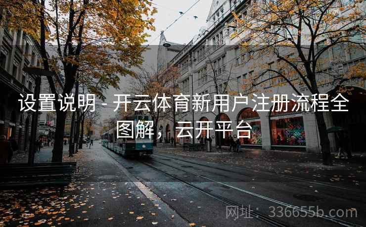 设置说明 - 开云体育新用户注册流程全图解,云开平台