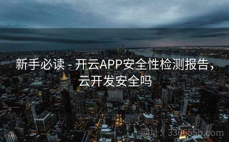 新手必读 - 开云APP安全性检测报告,云开发安全吗