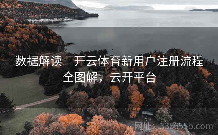 数据解读|开云体育新用户注册流程全图解,云开平台
